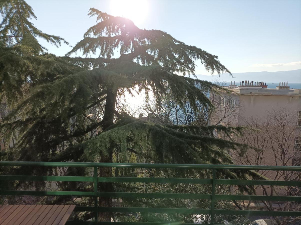 Apartman Pecine Fiume Kültér fotó